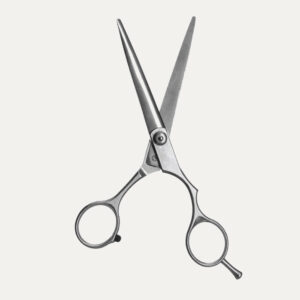 Silver Hair Cutting Scissor
